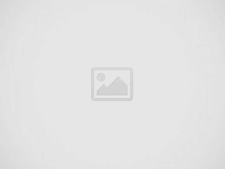 Bitcoin cash bitcoin ico silver